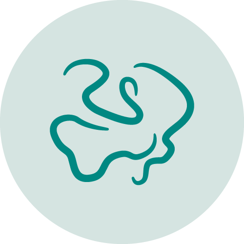 Icon Parasitologische Diagnostik