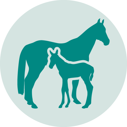 Icon Gynäkologie
